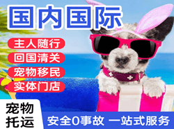 东河机场邮寄国际宠物托运 【国